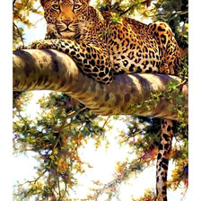 Схема вышивки «Леопард.»