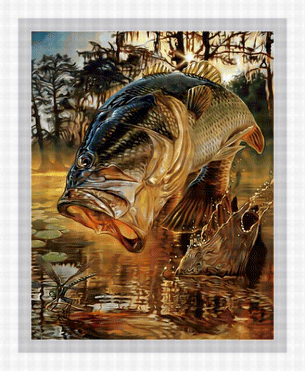 Рыба. - озеро, пейзаж., комар, рыбалка, рыба - предпросмотр