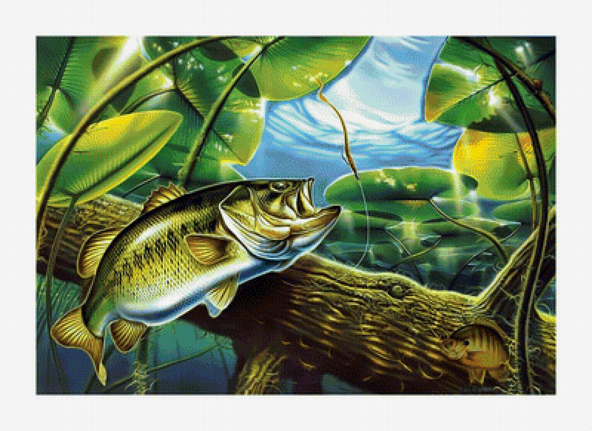 Под водой. - рыба, рыбалка, под водой. - предпросмотр