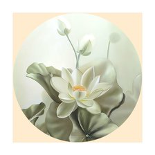 Водяные лилии.