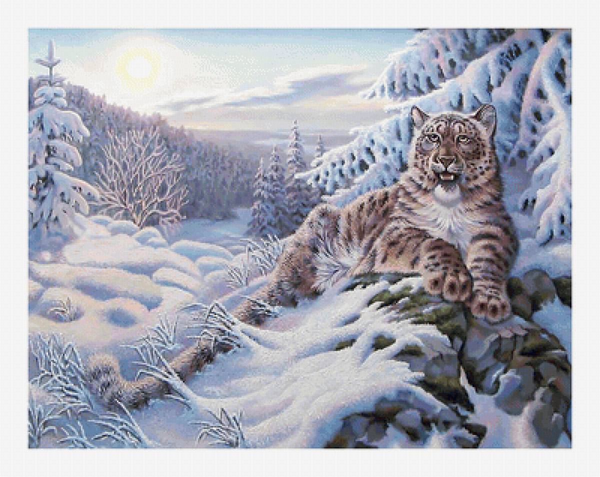 Серия "Хищники". Барс - животные, барс, хищники - предпросмотр