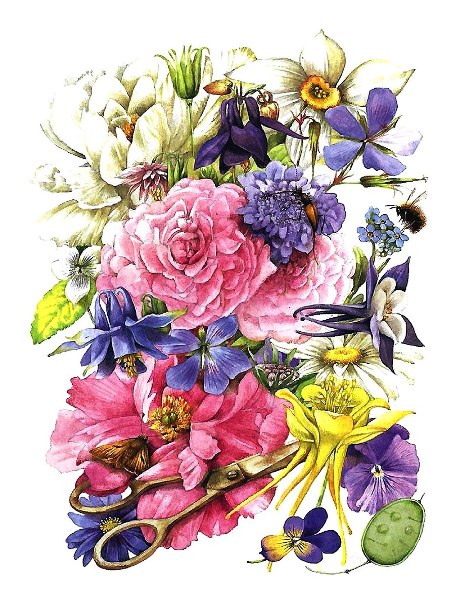 цветы - оригинал