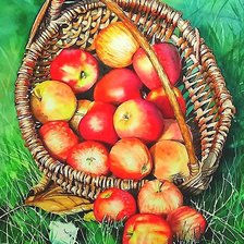 Схема вышивки «акварель»