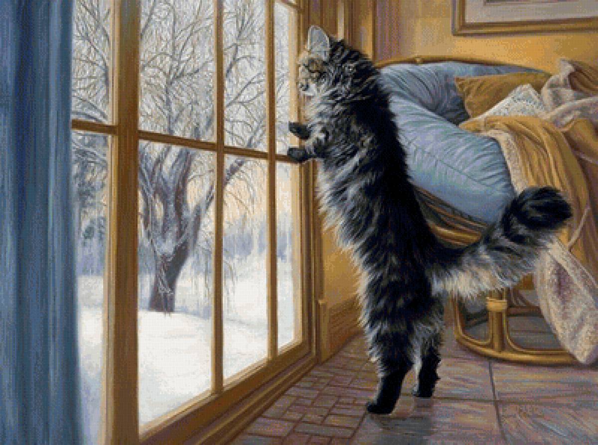 друзья - котик.вид из окна. - предпросмотр