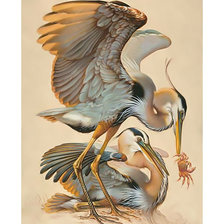 Схема вышивки «Цапли.»