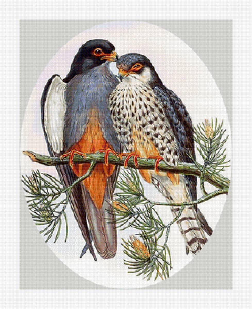 Птички на ветке. - птицы. - предпросмотр