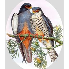 Птички на ветке.