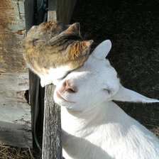 Схема вышивки «ДРУЗЬЯ»