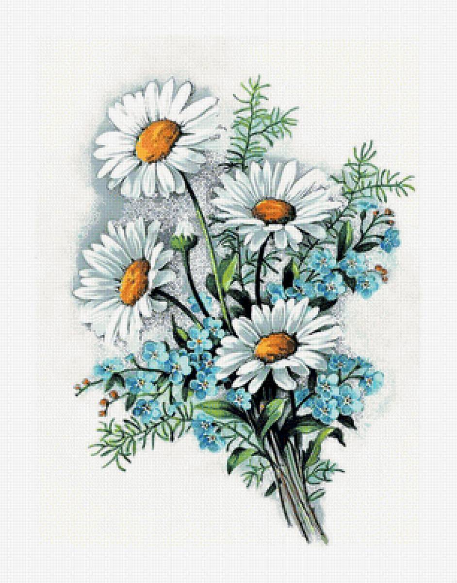 Ромашки-незабудки. - незабудки., ромашки, букет, цветы - предпросмотр