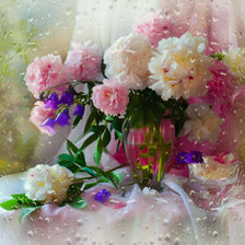 Still Llife of Peonies.