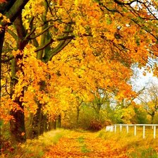 Схема вышивки «осень»