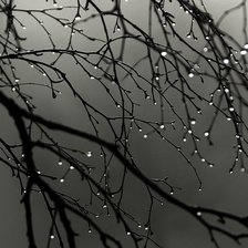 Схема вышивки «ПЕЙЗАЖ»