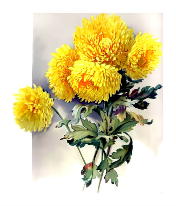 Жёлтые хризантемы. - хризантемы., цветы, букет - оригинал