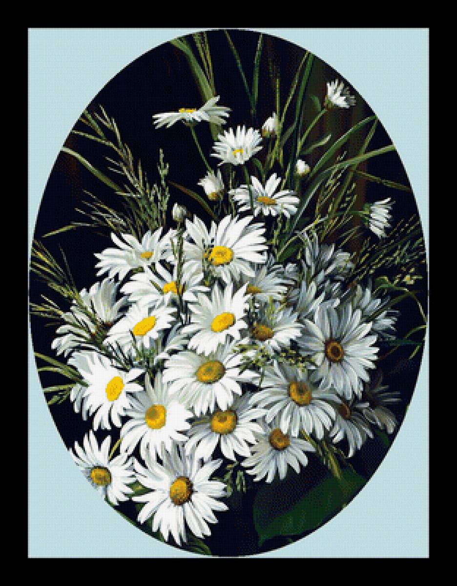 Ромашки. - цветы, букет, ромашки. - предпросмотр