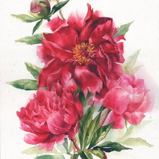 Схема вышивки «Пион»