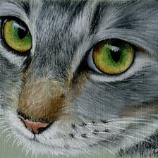 Схема вышивки «Котик»