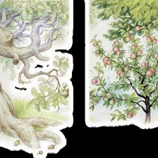 Схема вышивки «дерево»