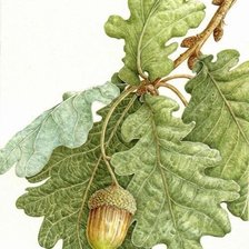 Схема вышивки «лесной сюжет»