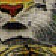 Предпросмотр схемы вышивки «тигры» (№1957307)