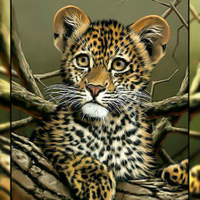 Схема вышивки «Леопардик2.»