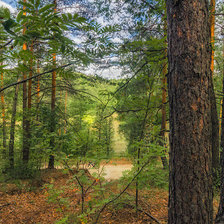 Схема вышивки «№1957357»