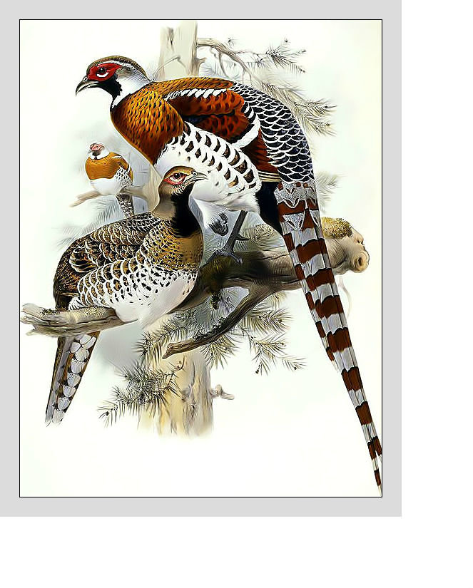 Птицы. - птицы. - оригинал