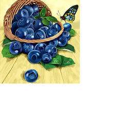 Схема вышивки «Черника и бабочка.»