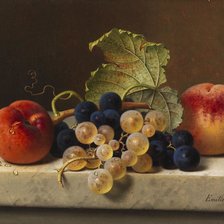 Схема вышивки «натюрморт»