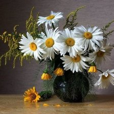 Схема вышивки «ромашки»