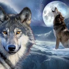 Схема вышивки «Волки»