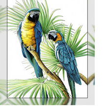 Схема вышивки «Попугаи.»