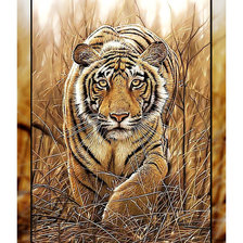 Схема вышивки «Тигр.»