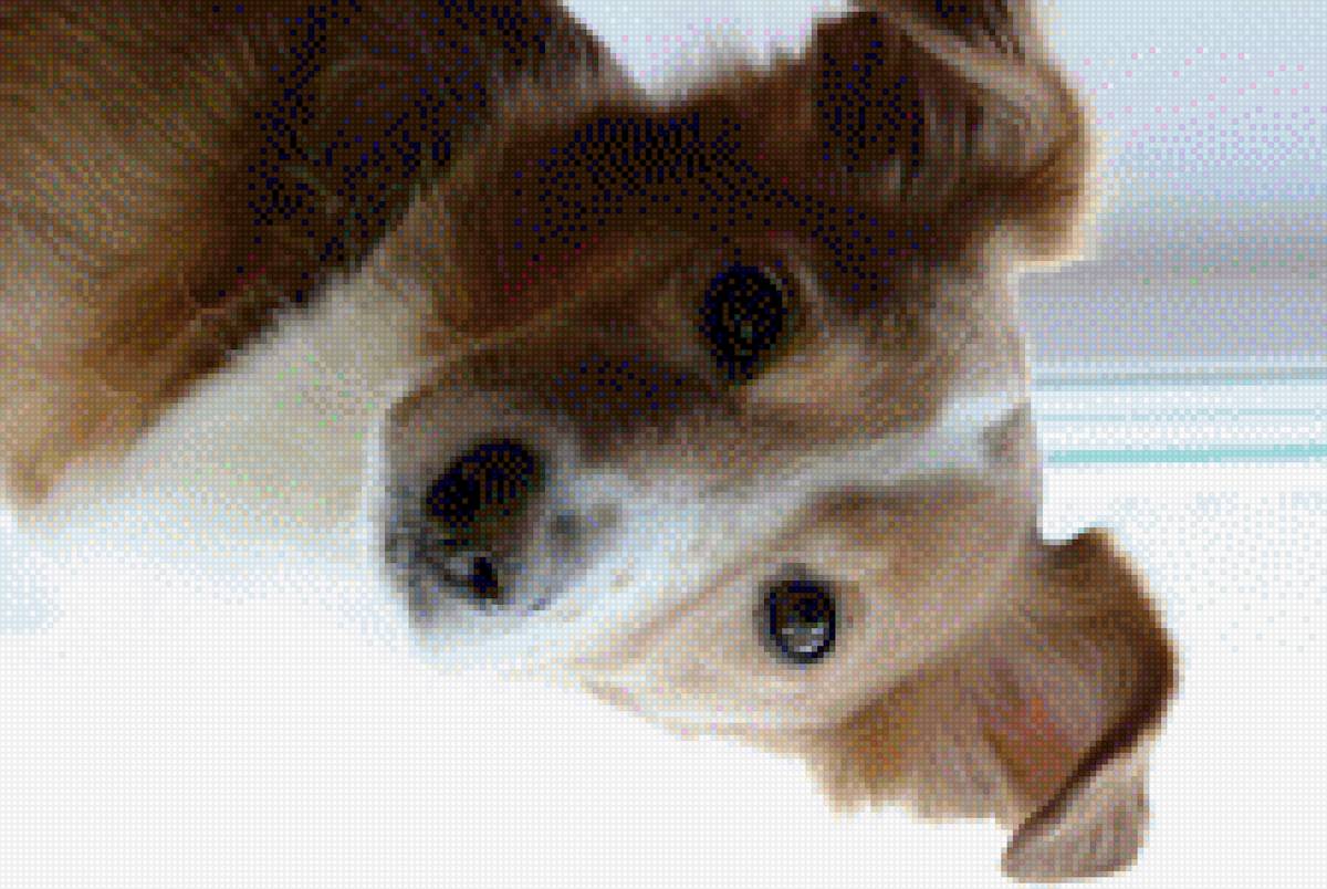 Элвис 2 - элвис - предпросмотр