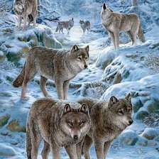 Схема вышивки «vilkai»