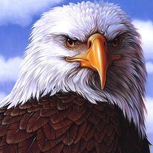 Схема вышивки «орёл»