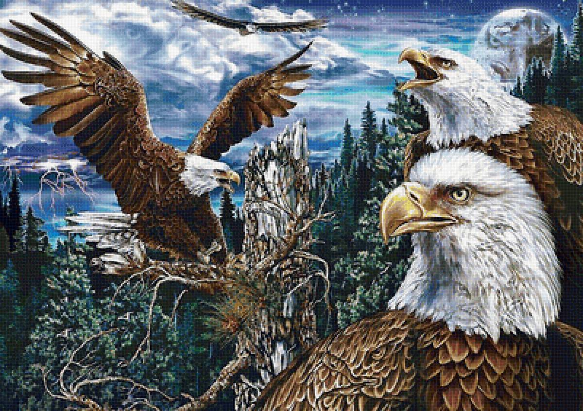 орлы - птицы - предпросмотр