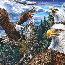 Схема вышивки «орлы»