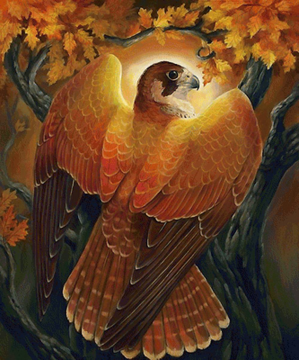 птица - птицы - предпросмотр