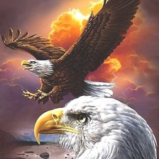 Схема вышивки «орлы»