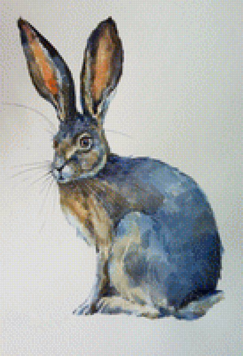 заяц - животные - предпросмотр