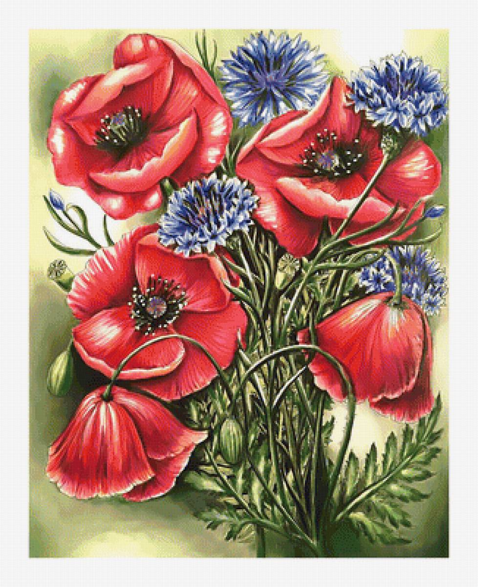 Маки-васильки. - букет., полевые, васильки, цветы, маки - предпросмотр