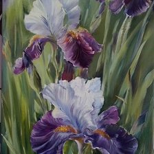 Схема вышивки «ирисы»