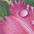 Предпросмотр схемы вышивки «Лилии и бабочка.» (№1957897)