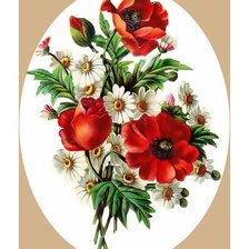 Схема вышивки «Маки-ромашки.»