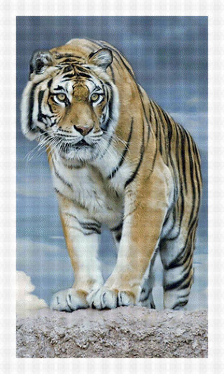 Тигруля. - снег., тигр, хищник, зима - предпросмотр