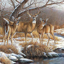 Схема вышивки «Олени.»