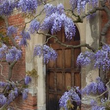 Схема вышивки «ПЕЙЗАЖ»