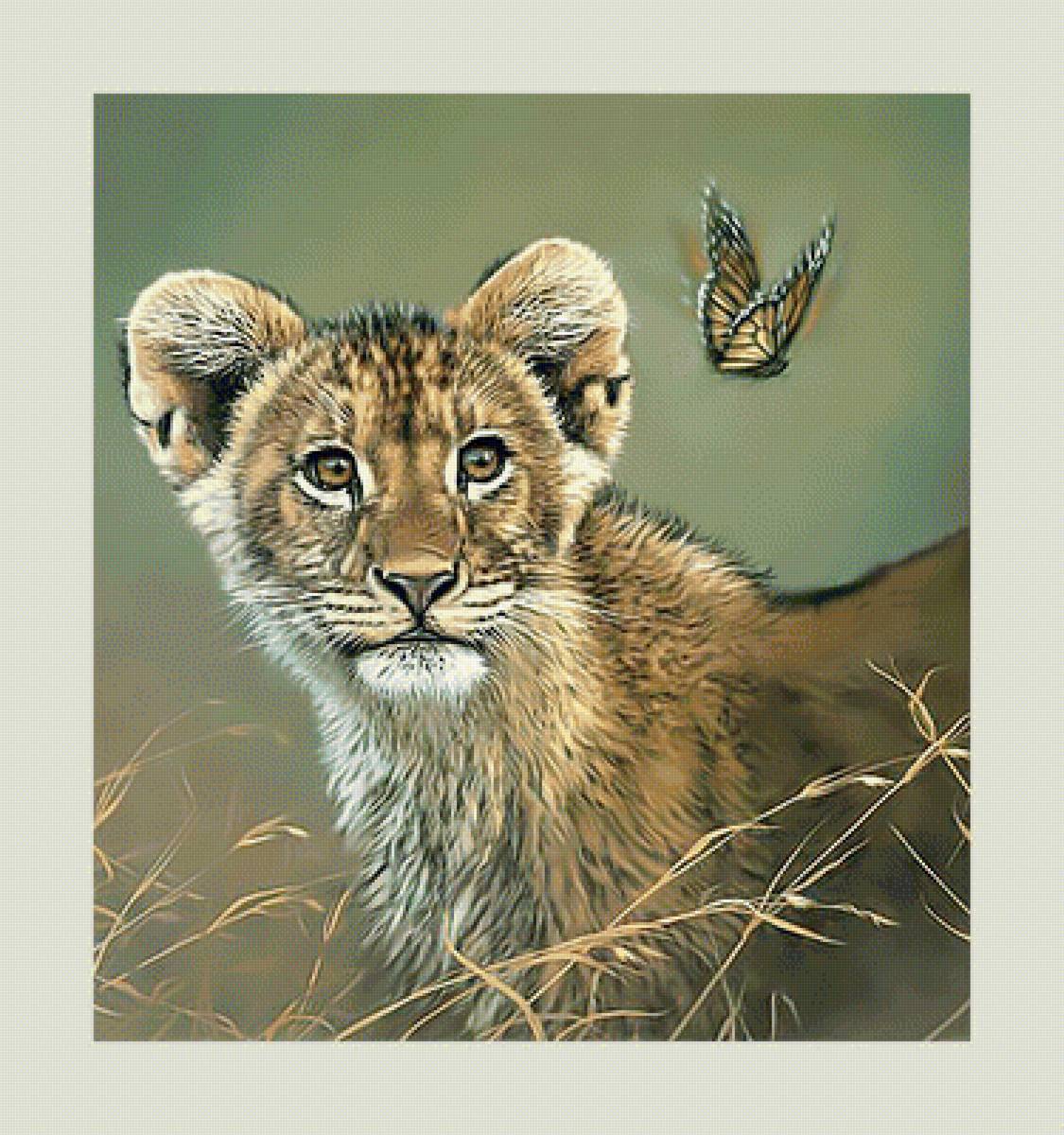 Львёнок и бабочка. - львенок, хищник, лев, бабочка. - предпросмотр