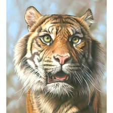 Схема вышивки «Взгляд тигра.»