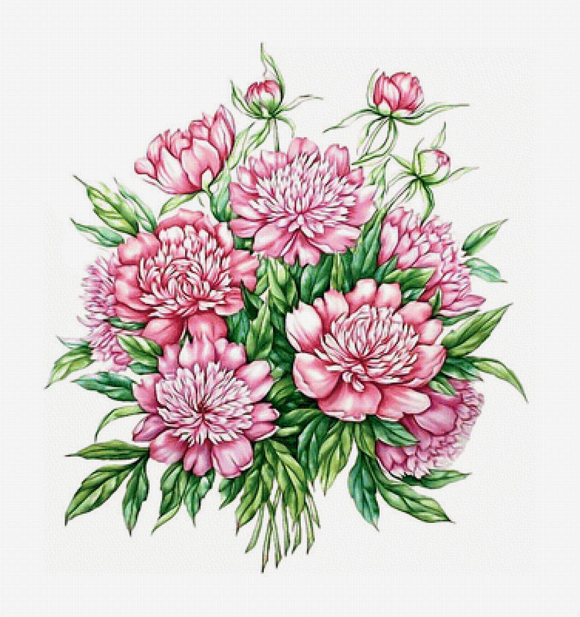 Пионы. - пионы., букет, цветы - предпросмотр